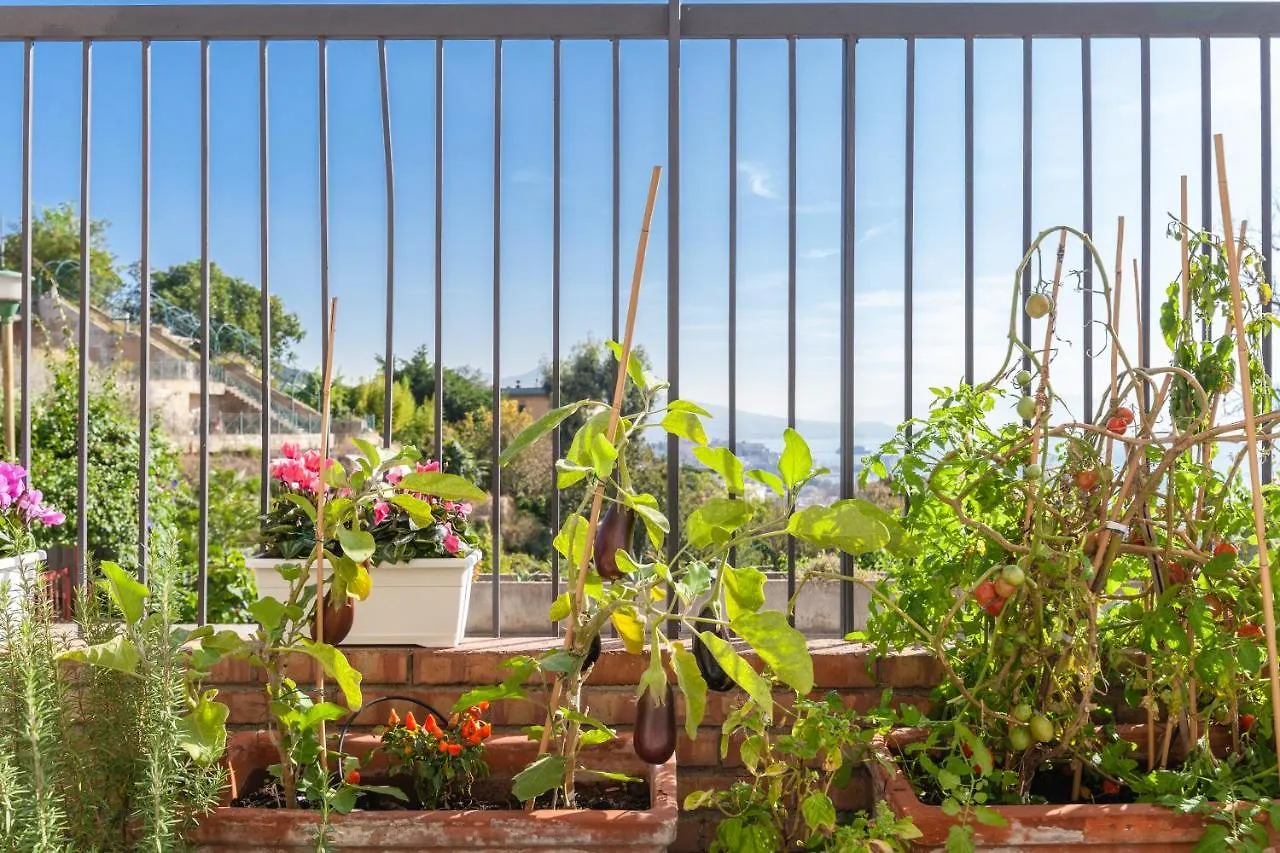 Casa Rosa - Sea View & Terrace Apartment Неаполь Италия